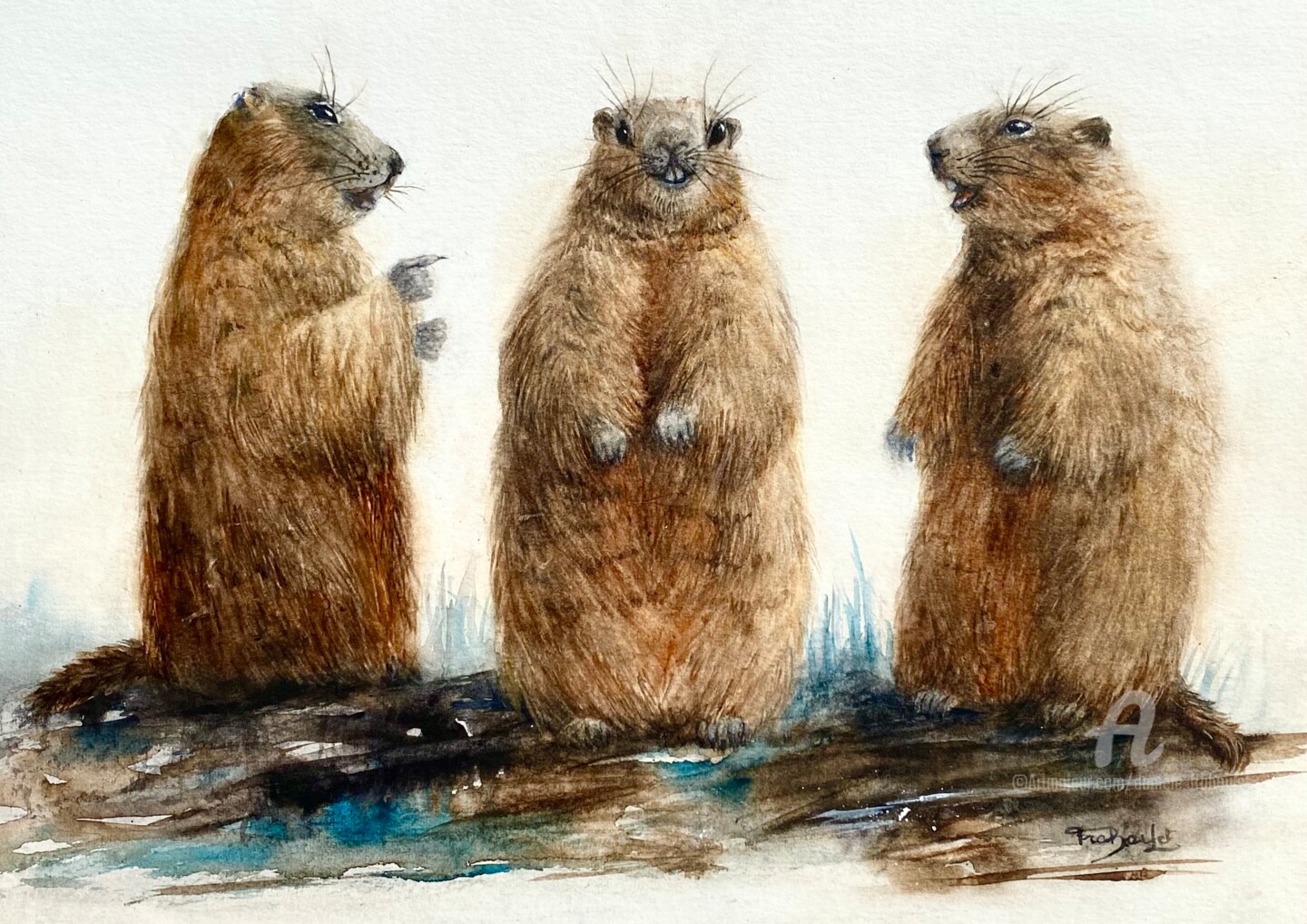Danièle Fraboulet - Three girlfriends (Marmots)   - Trois copines (marmottes)