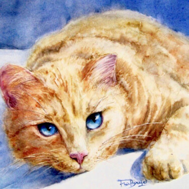 Le chat roux aux yeux bleus