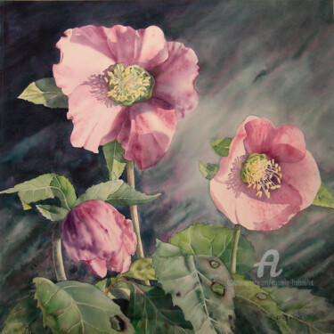 Rose de Noël orientale