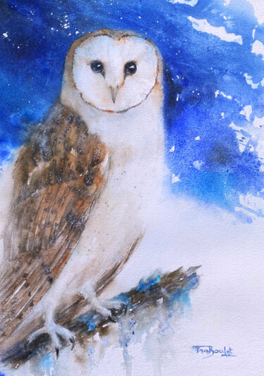 Barn Owl - Chouette effraie - Tyto alba