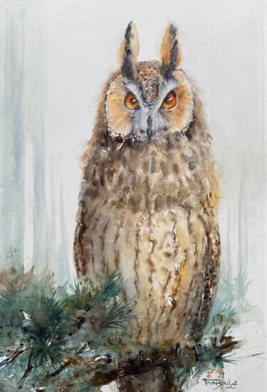 Long heared Owl - Hibou moyen-duc - Asio otus
