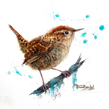 Troglodyte mignon - Wren - Troglodytes troglodytes